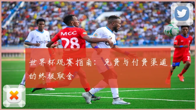 世界杯观赛指南：免费与付费渠道的终极取舍