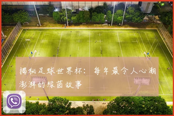 揭秘足球世界杯：每年最令人心潮澎湃的绿茵故事